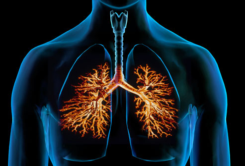 webmd composite image of bronchitis