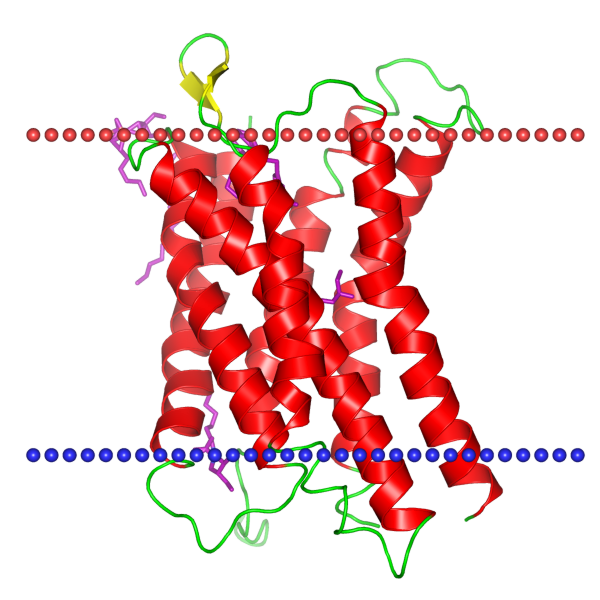 Chemokine_receptor