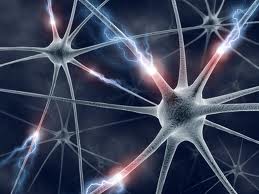 Cognitive_function