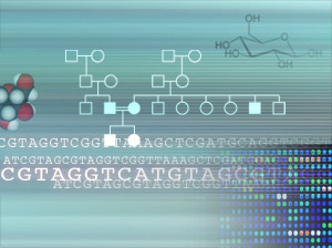 Genome-Wide_Analyses