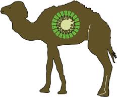 Mers2